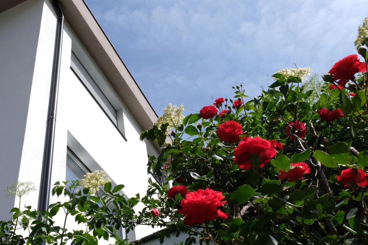 Apartment Le Rose Di Marianne - Ovest Vahrn Exterior photo